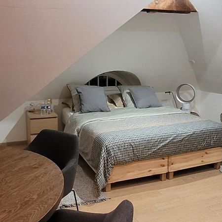 Studio 50M2 Au Bord De L'Eau A Strasbourg Exteriör bild