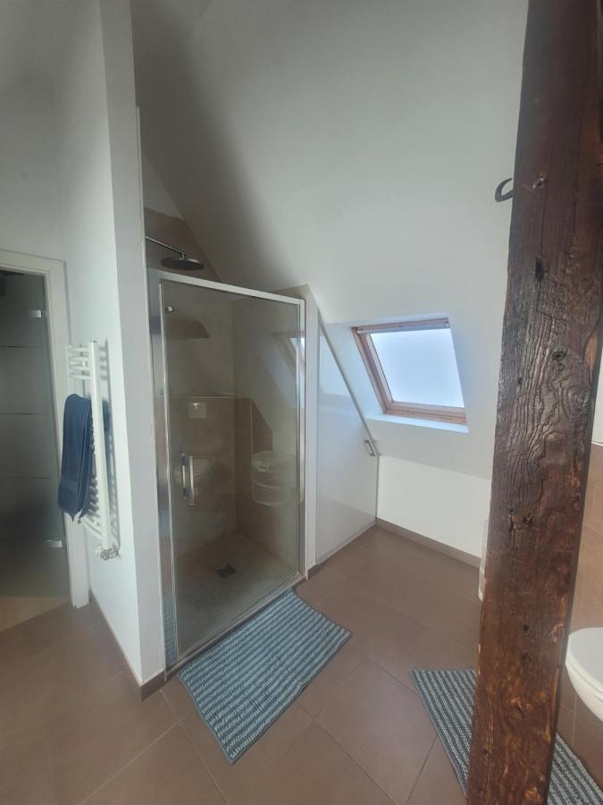 Studio 50M2 Au Bord De L'Eau A Strasbourg Exteriör bild