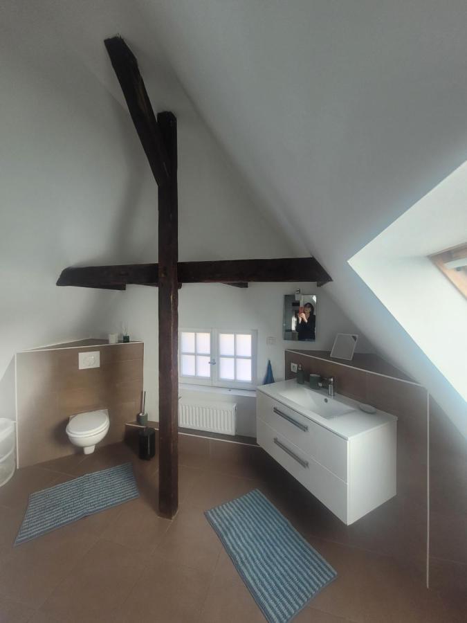 Studio 50M2 Au Bord De L'Eau A Strasbourg Exteriör bild