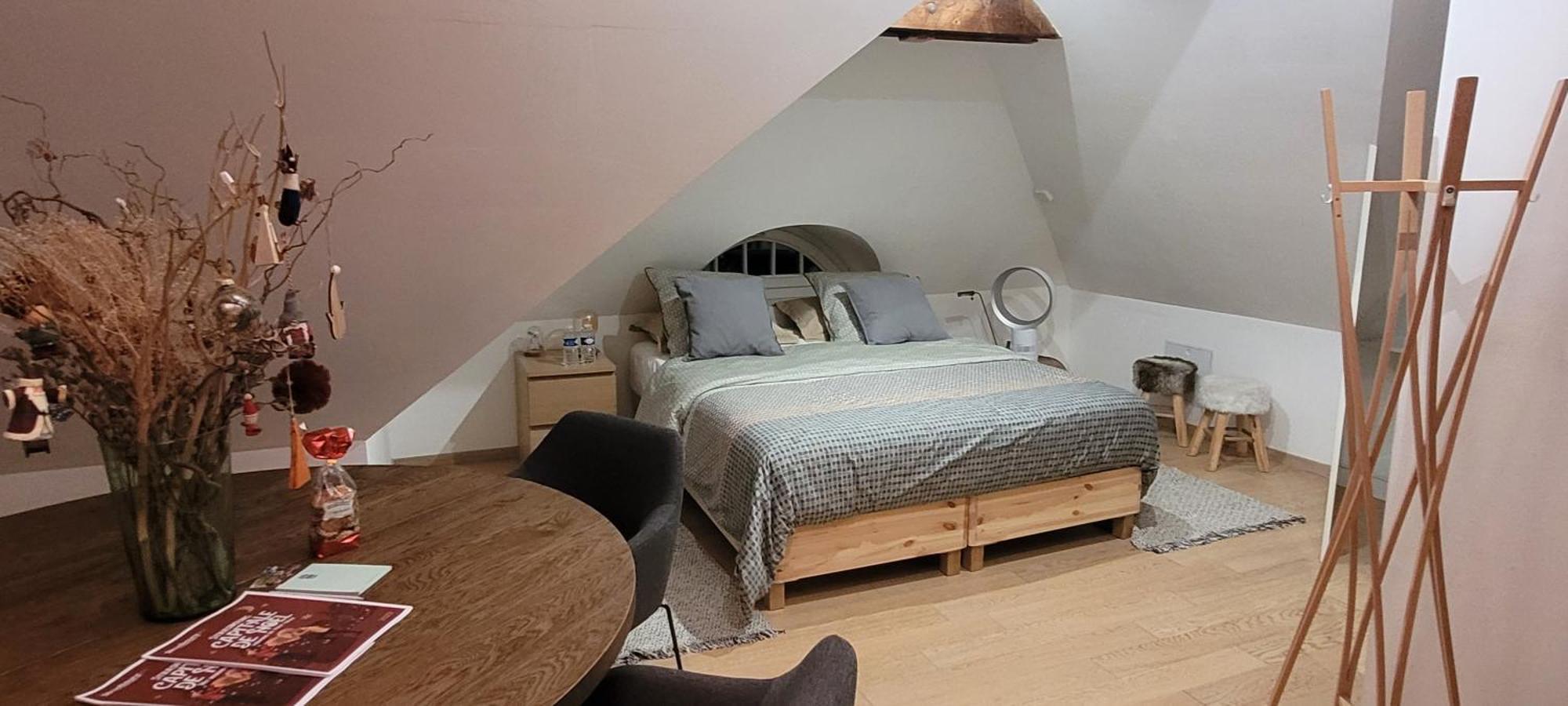 Studio 50M2 Au Bord De L'Eau A Strasbourg Exteriör bild